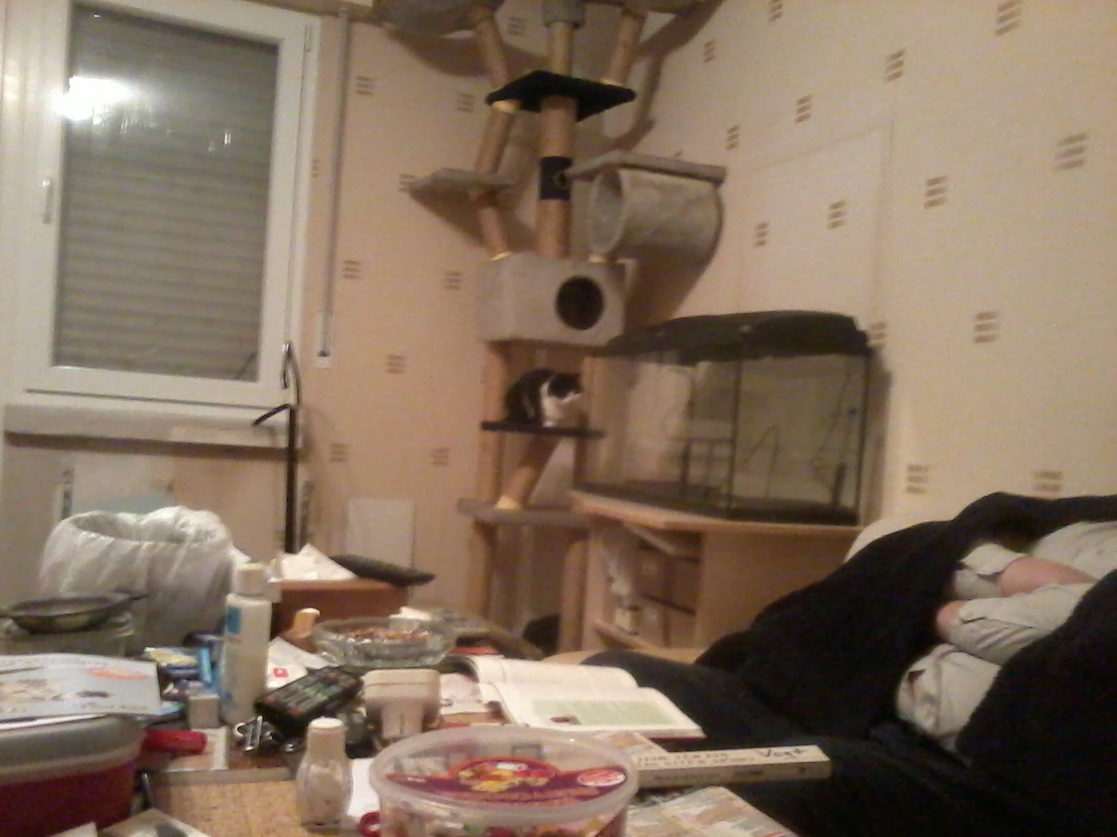 2013-05-17 21.49.52.jpg